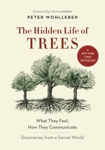 Hidden Life of Trees Cover