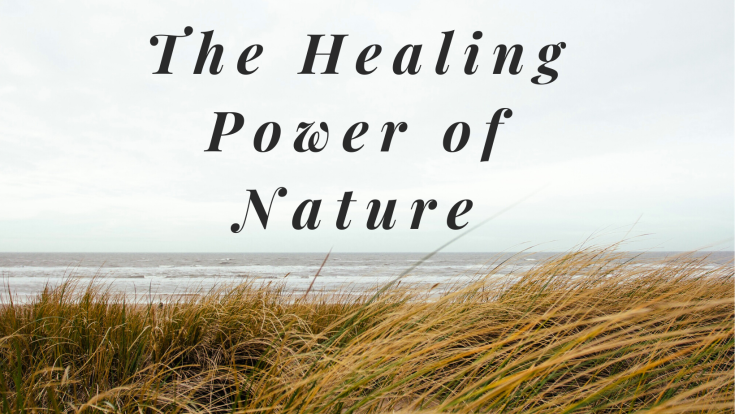The Healing Power of Nature -Landscape