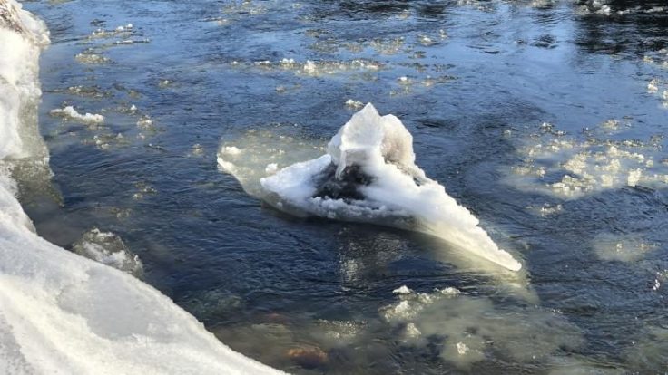Ice Block on East Branch AuSable River: Photo credit AuSable River Foundation